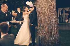 dinno_1600px
